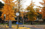 Oude Veemarkt
